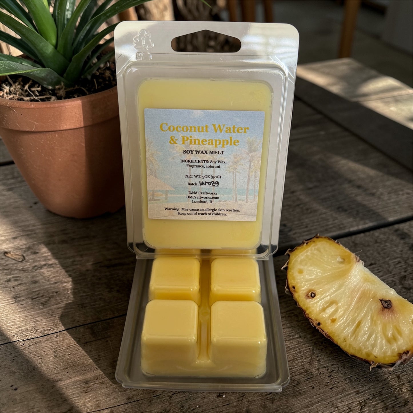 Coconut Water & Pineapple Wax Metl